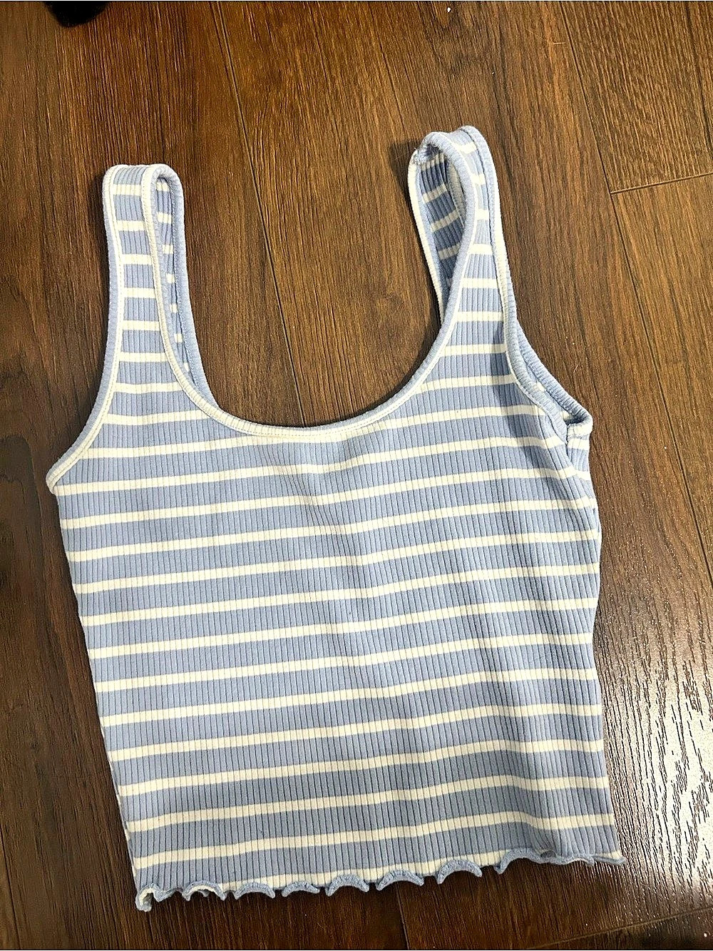 Papaya Striped Tank Top in Blue & White Size Small